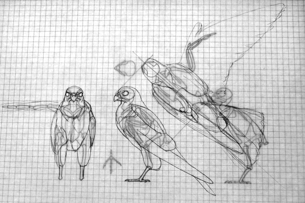 ぼうぼう工房 チョウゲンボウの製作記録