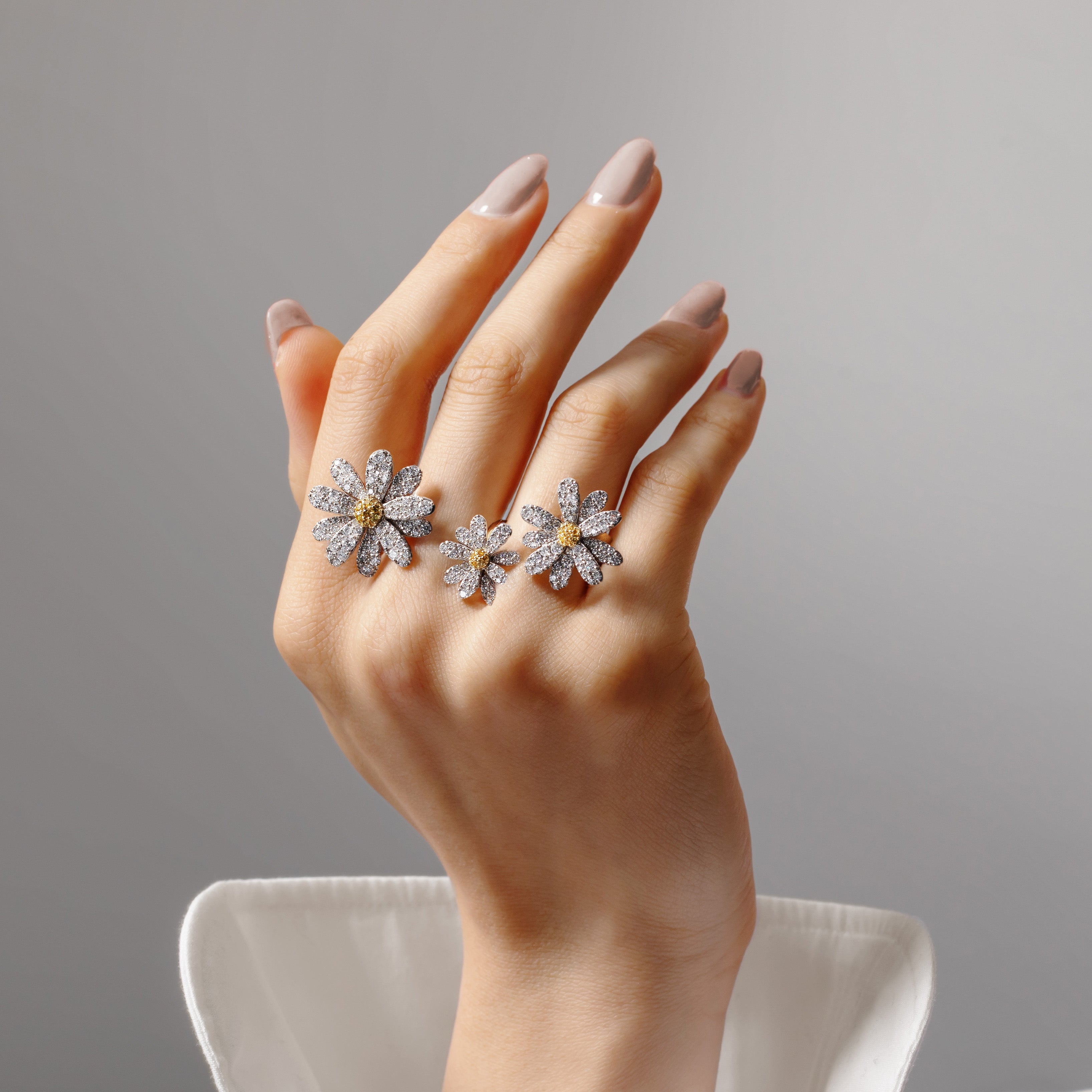 プレミアムコレクション