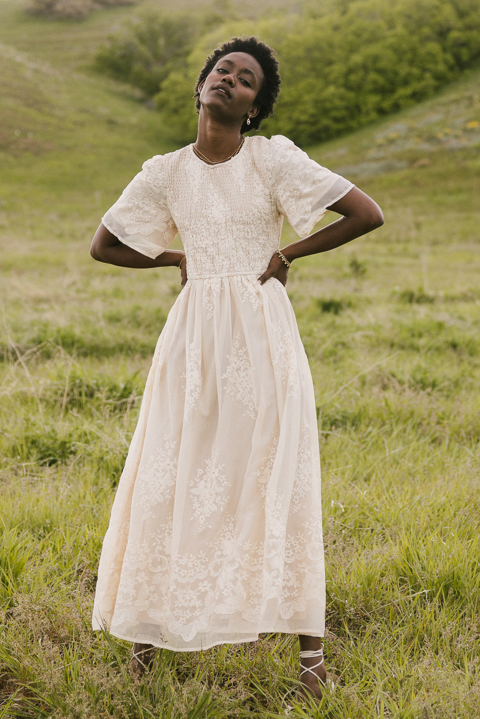 Alora Embroidered Dress in Champagne - FINAL SALE