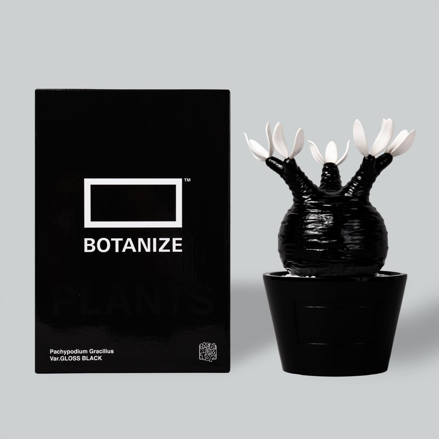MEDICOM TOY – BOTANIZE