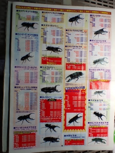 昔の奈良オオクワセンターのカタログ | クワガタ飼育日記