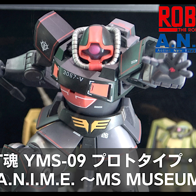 ROBOT魂 ＜SIDE MS＞ YMS-09 プロトタイプ・ドム ver. A.N.I.M.E. ～MS