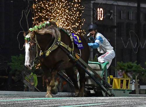藤本 匠 騎手｜ジョッキーインタビュー｜地方競馬ならオッズパーク競馬