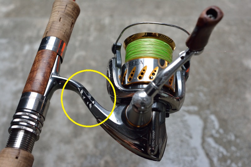 悩んだけどやっぱりステラ購入！シマノ18ステラvs19ヴァンキッシュ