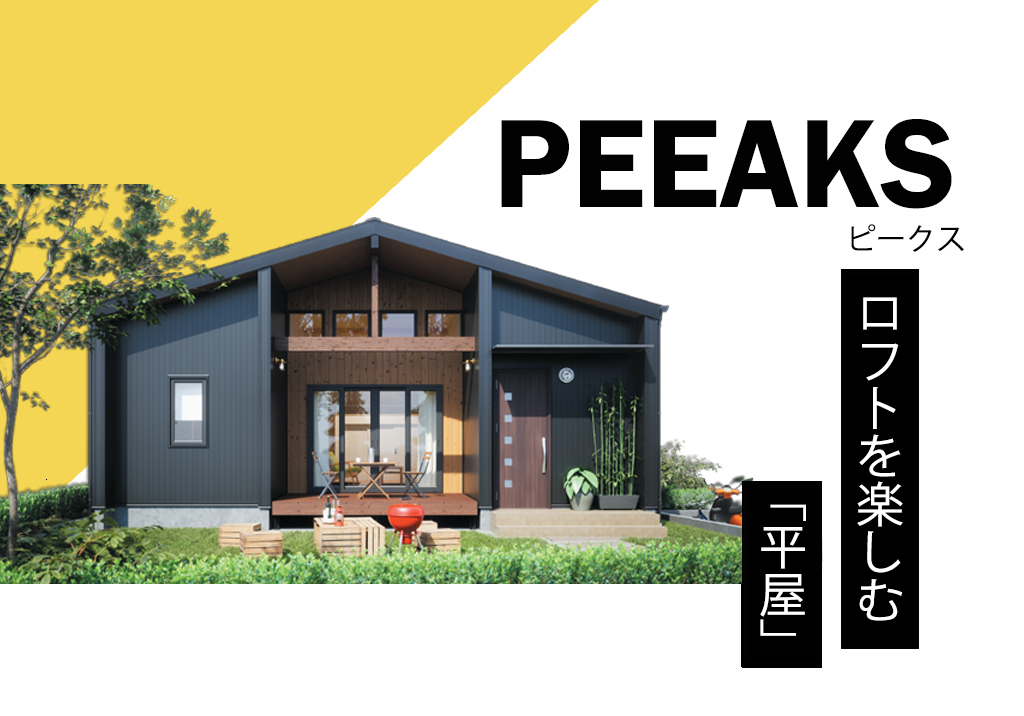 静岡ロフトのある平屋の家 |PEEAKS 静岡市でかっこいい平屋の新築なら