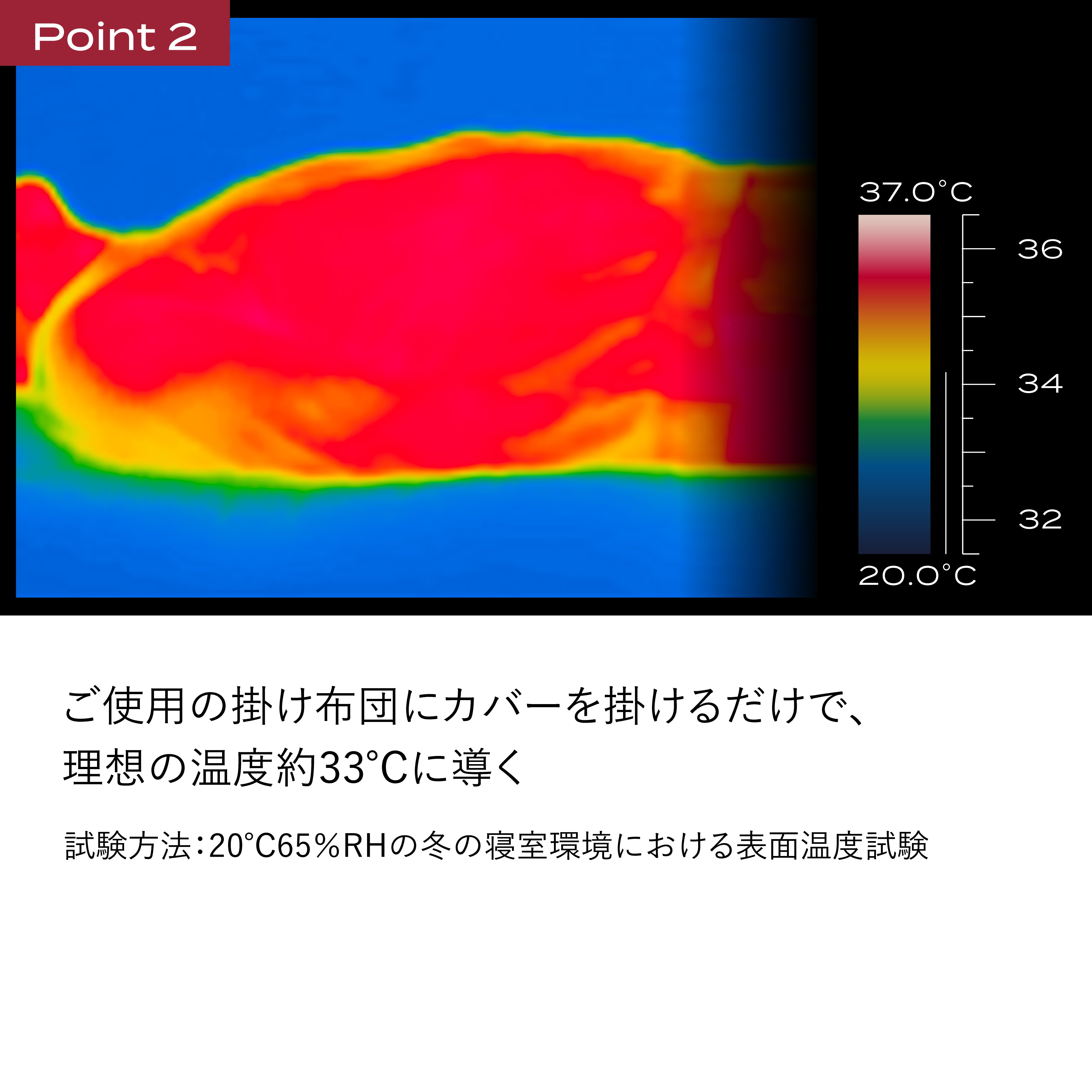 ブレインスリープ コンフォーター カバー パーフェクト ウォーム EX