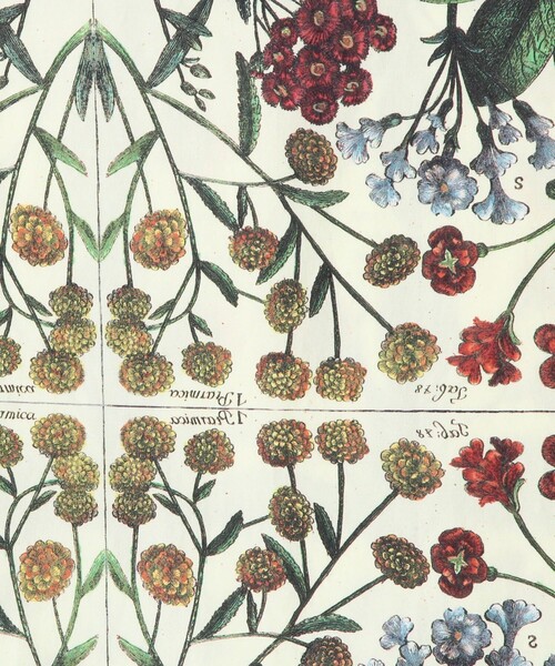 caban（キャバン）の「コットンブロード パレルモフラワープリント