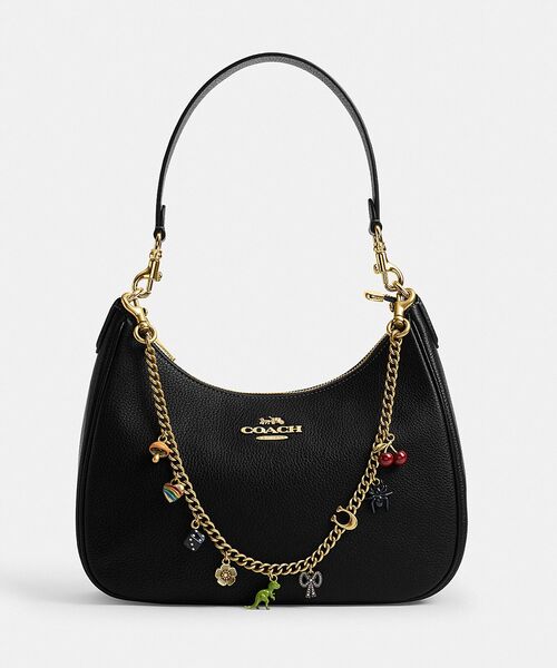 チェーン ストラップ・チャーム（ウォレットチェーン）｜COACH（コーチ