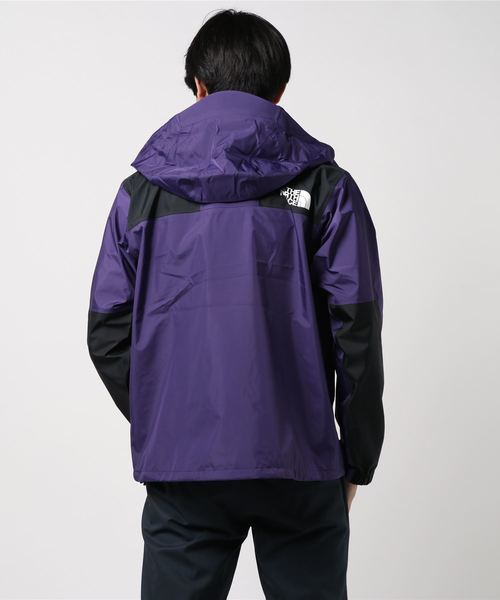 THE NORTH FACE（ザノースフェイス）の「ザ・ノース・フェイス メンズ