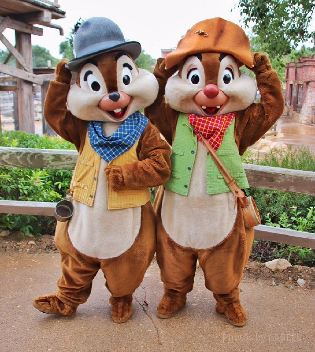 ドナルドダックとチップ＆デールの関係性| キャステル | CASTEL