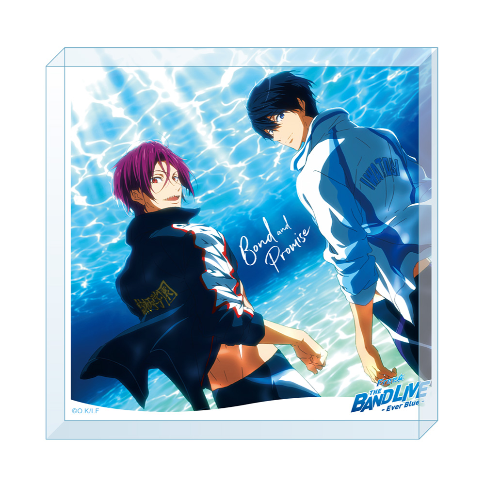 クリアうちわ／芹沢 尚(Free! 10th Anniversary ‐Memories of Summer