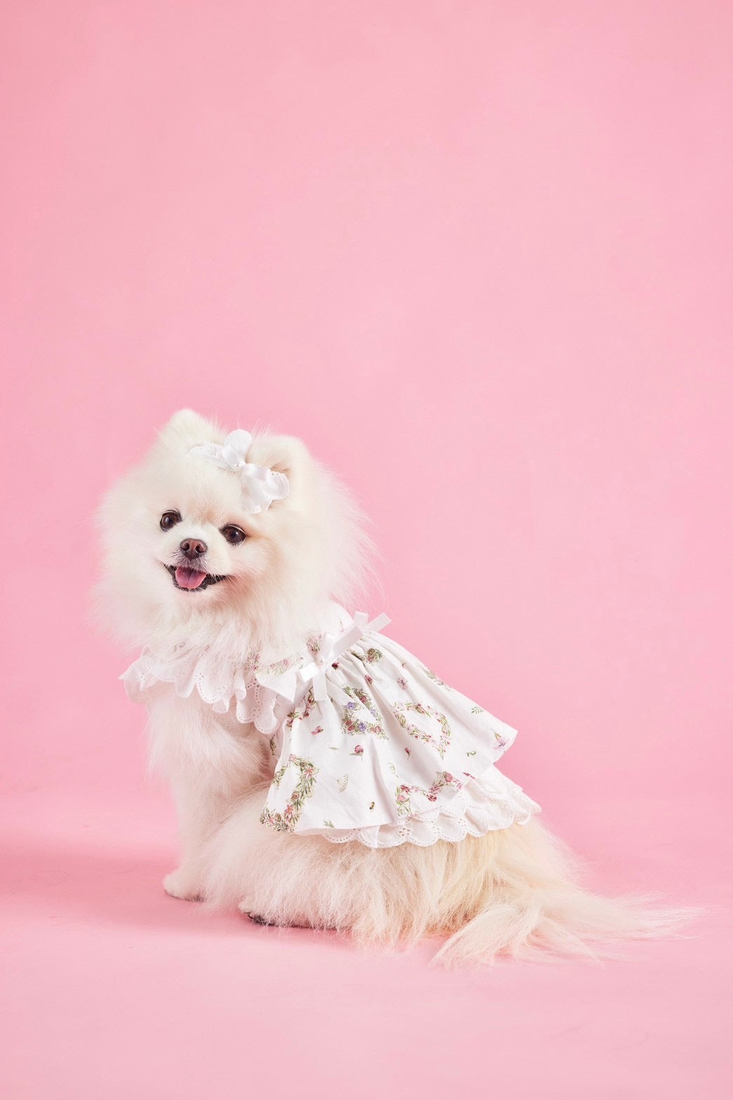 GardenPartyワンピース – Candy Buppie Online