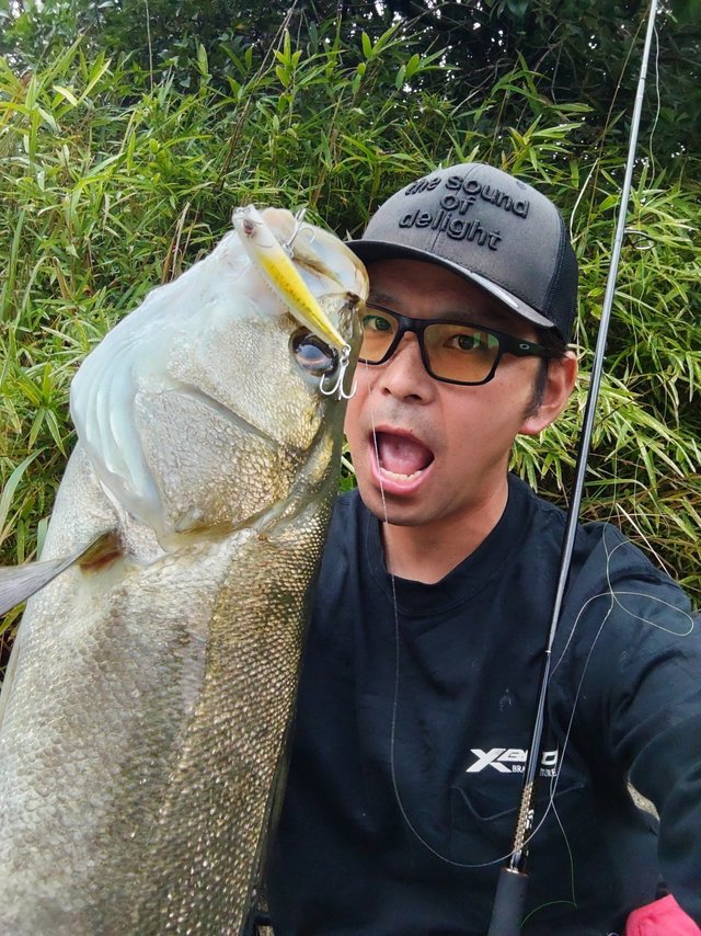 よつあみ Xブレイド アップグレード X8 150m 16LB(0.8号): ライン