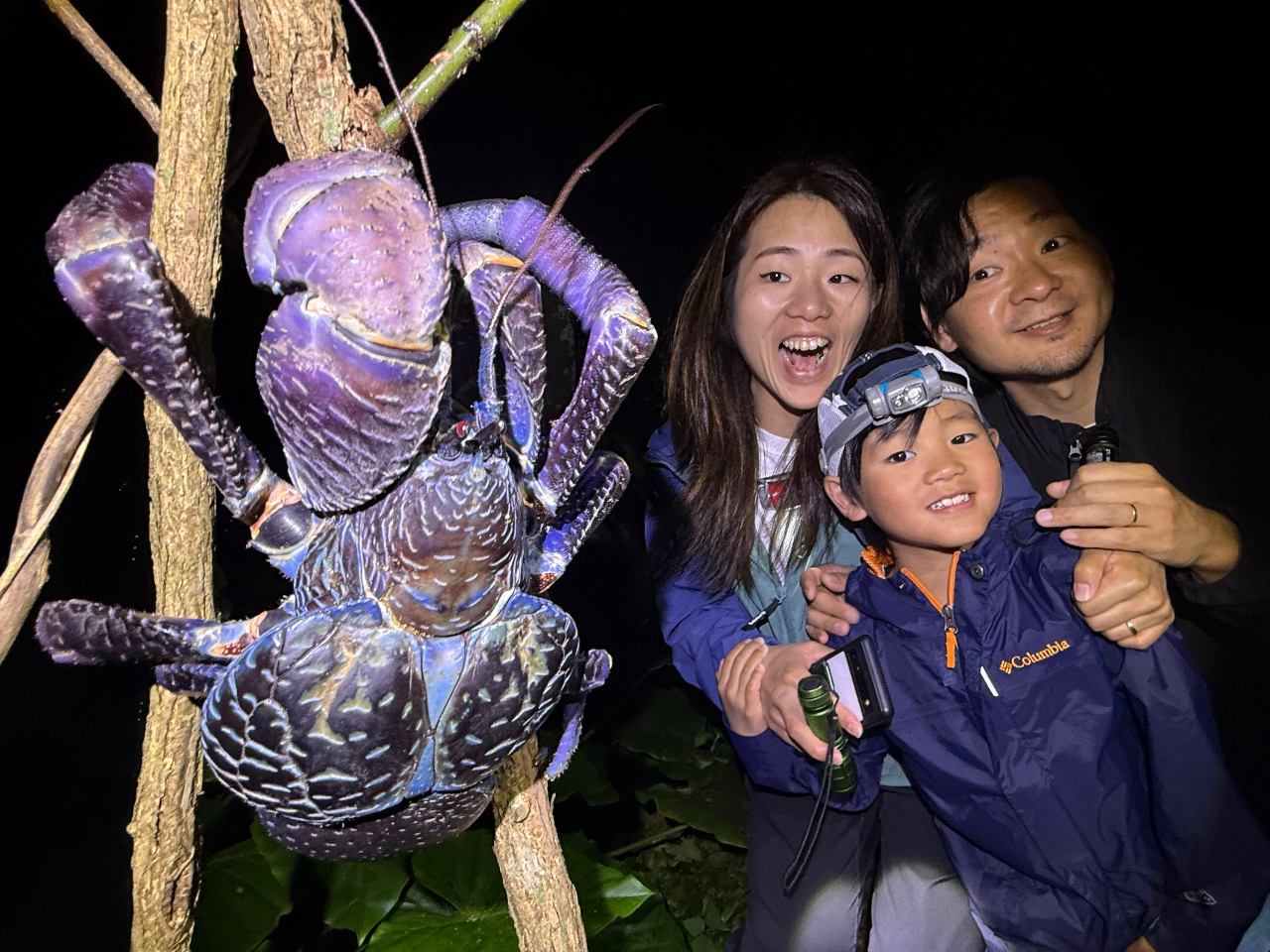 宮古島｜送迎可能！当日18:00まで予約OK！】ヤシガニ遭遇率ほぼ100