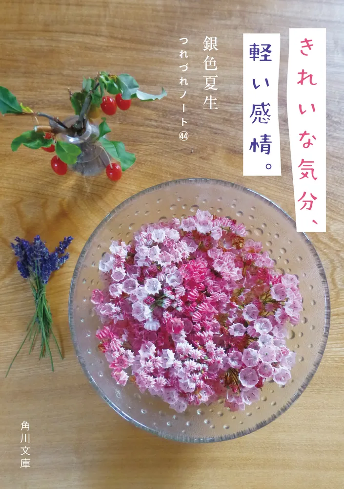きれいな気分、軽い感情。 つれづれノート44」銀色夏生 [角川文庫