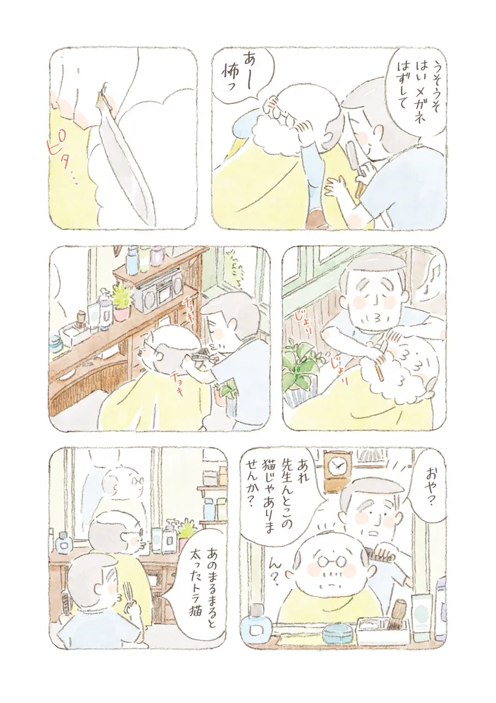 ねことじいちゃん（11）」ねこまき(ミューズワーク) [コミック