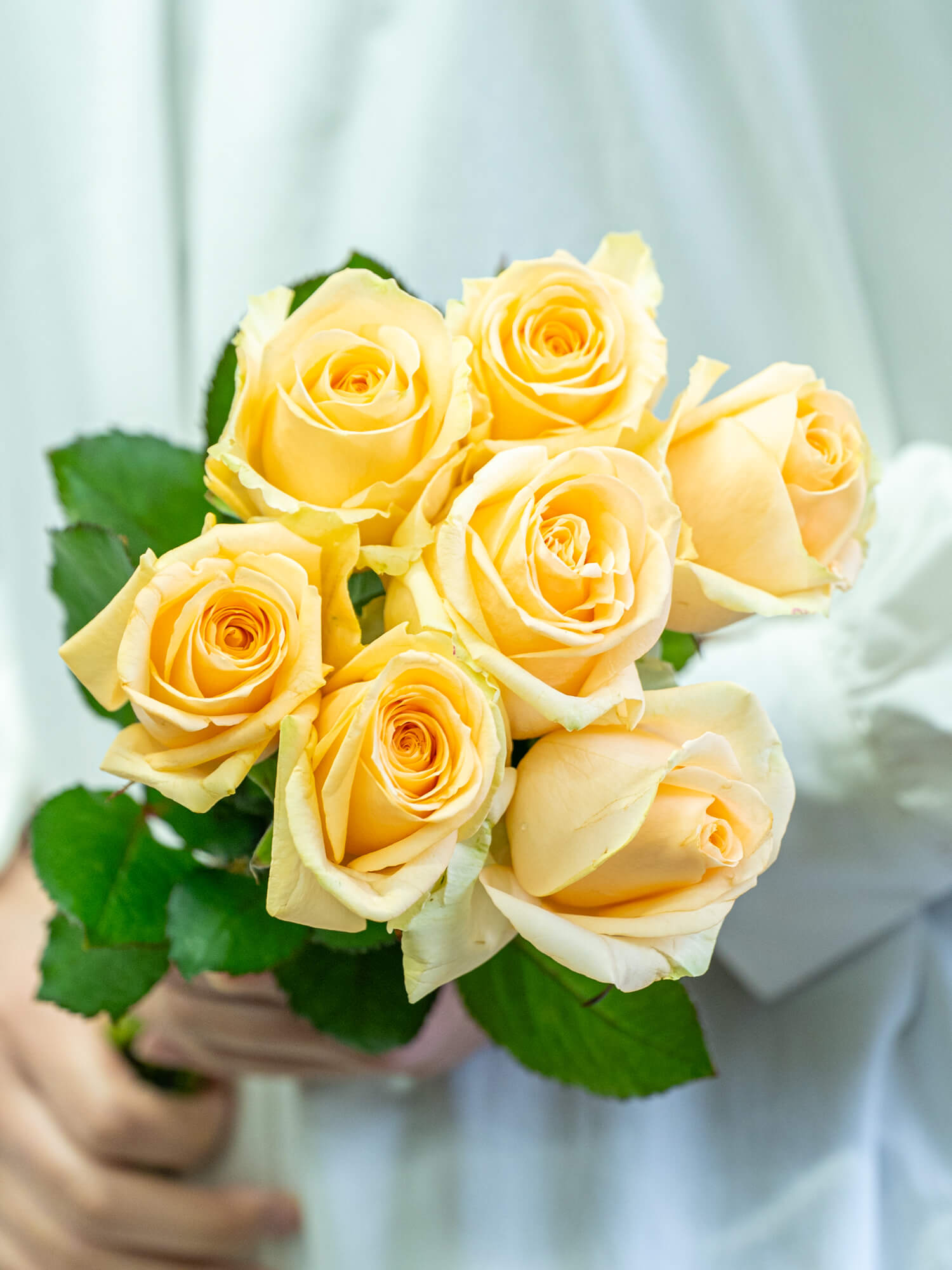 バラ（オレンジ）ピーチアバランチェ｜花の仕入れを簡単に。花材の卸