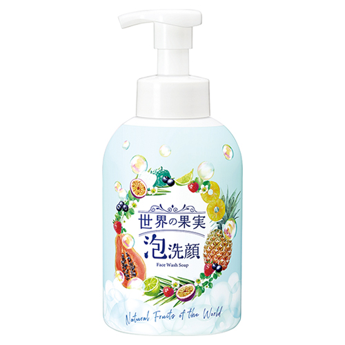 世界の果実 すっきり泡洗顔 500mL｜【ハンズネットストア】