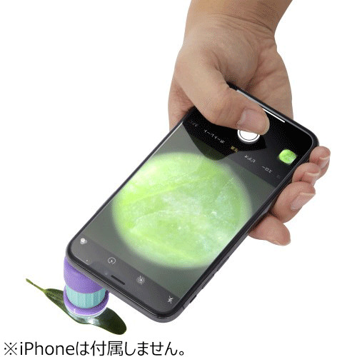 レイメイ藤井 ハンディ顕微鏡 petit RXT1142V バイオレット｜【ハンズ