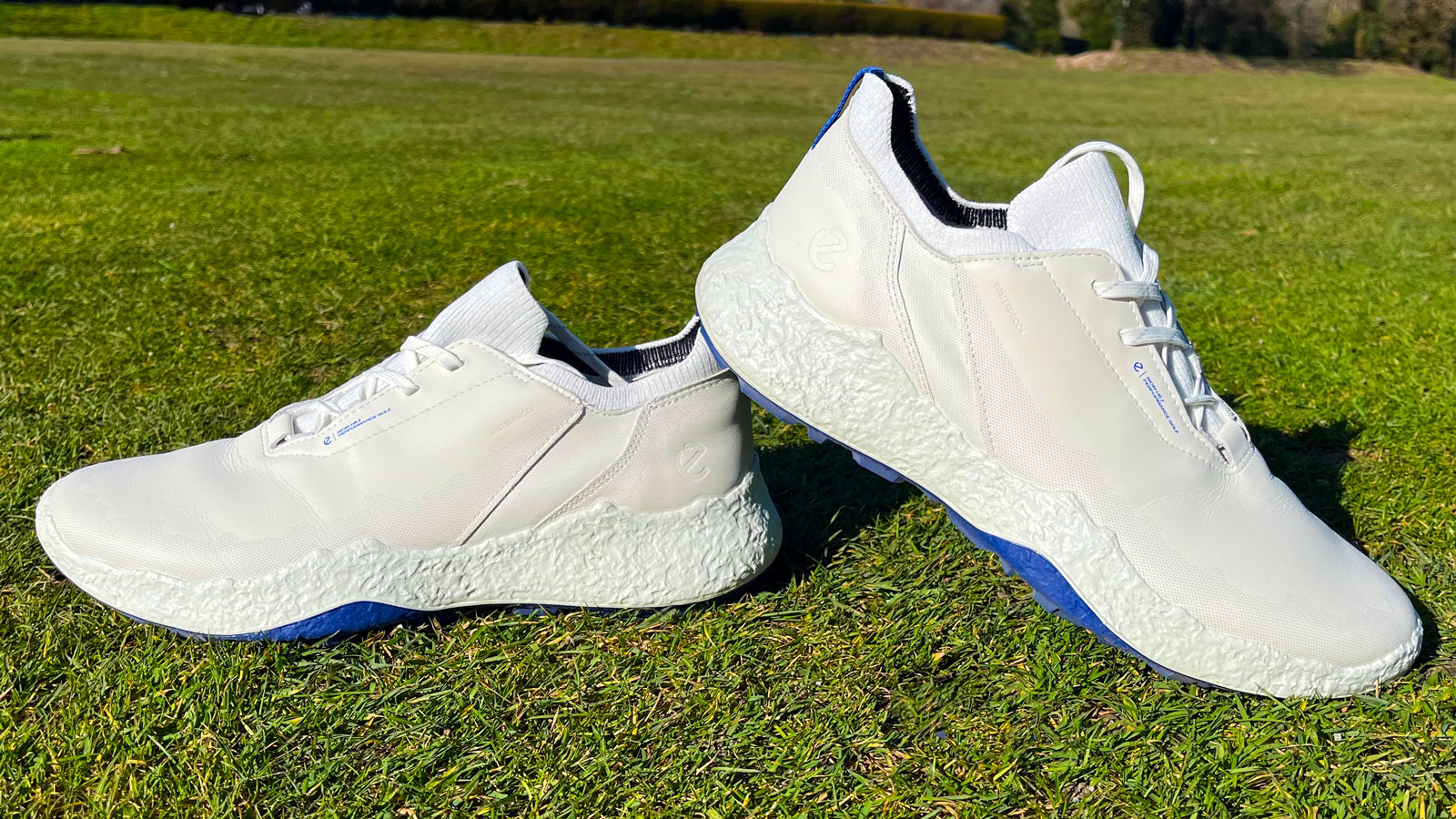 Ecco Biom H5 Golf Shoe Review | Golf Monthly