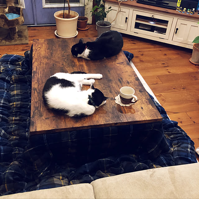 ニトリ リビングこたつ(フロットS 120 ヴィンテージBR) - 通販 | 家具