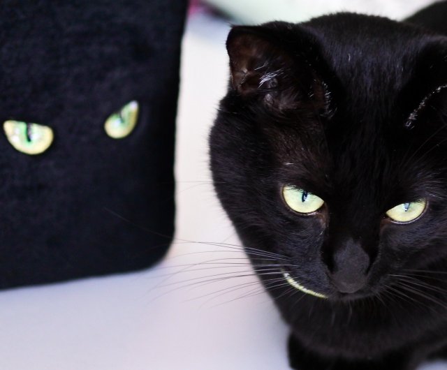 黒猫ショルダーバッグ 猫の目刺繍 フェイクファー コイトネコ