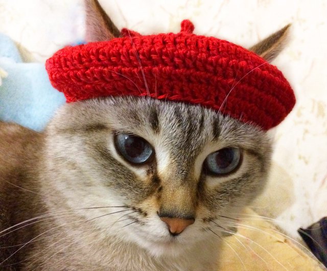 ロシア 【デジタル】猫のベレー帽 猫の帽子 簡単なかぎ針編みの
