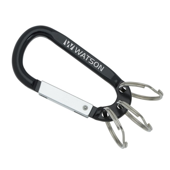 Arctic Carabiner Keychain C144069 : 4imprint.ca