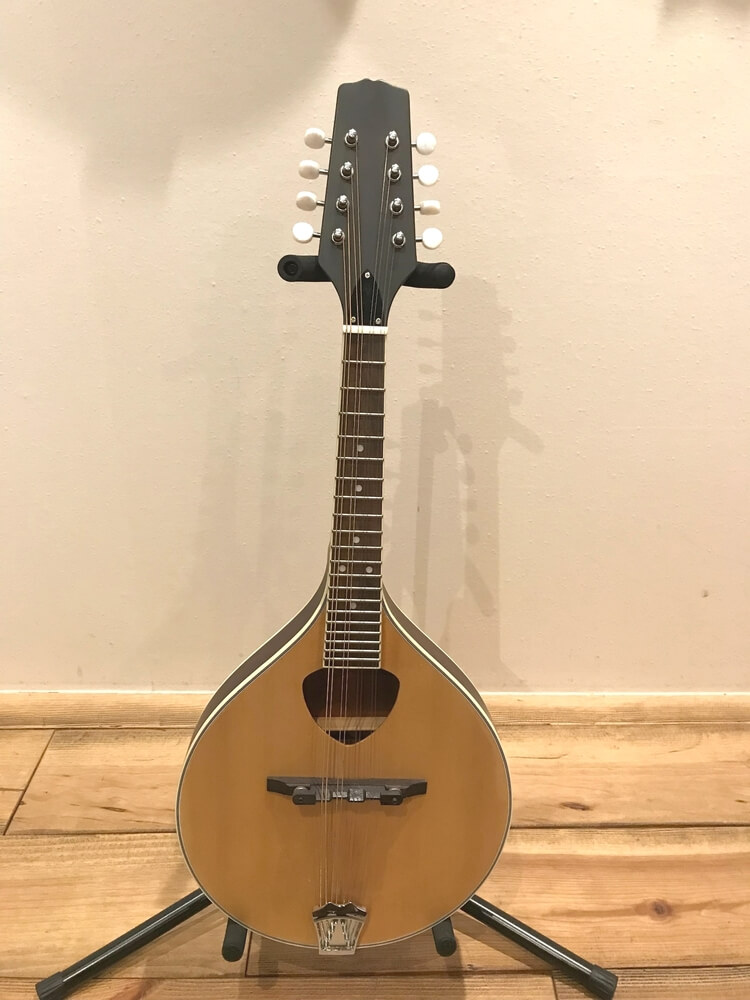 ケルトの笛屋さん | 商品詳細 | Blarney フラットマンドリン 350mm