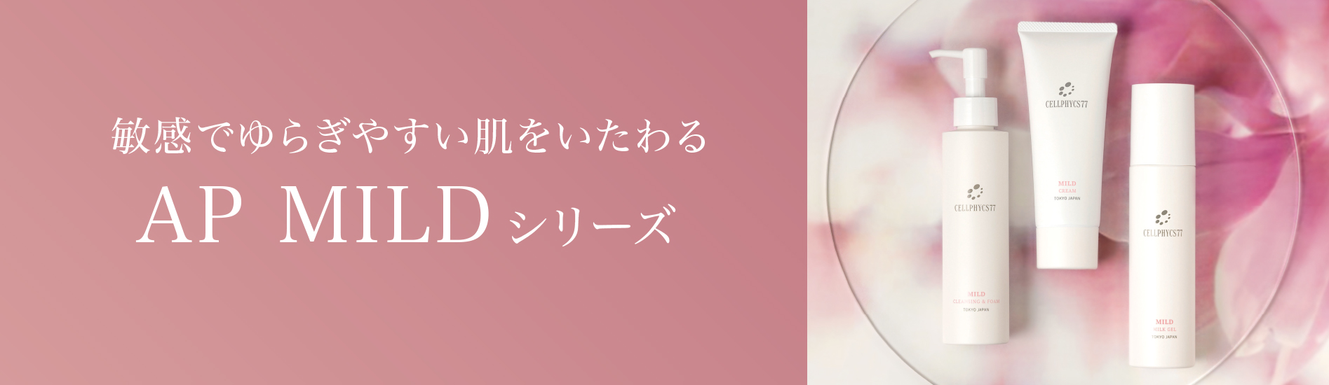 株式会社Cellphycs