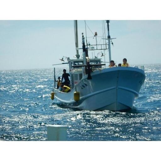 渡船のふるさと納税 返礼品 検索結果 | ふるさと納税サイト「ふるなび」