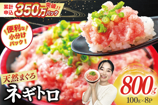 ねぎとろ 天然 まぐろ ネギトロ 1.5kg [22424262] | 静岡県吉田町