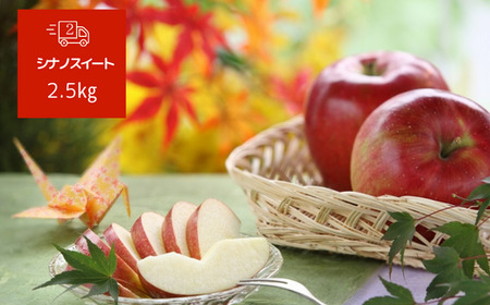 JA42-26A 【先行予約】 りんごの定期便 りんご三兄弟®（秋映