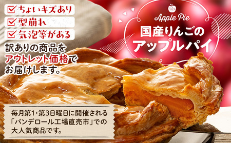 スイーツ 訳あり アップルパイ 国産りんごアップルパイ 6個 | 静岡県