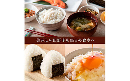 令和6年産 田野米 20kg（5kg×4袋）～精米・白米～ | 高知県田野町