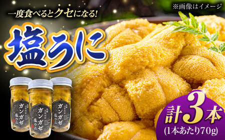 厄介うに ガンガゼ塩うに 70g×3本 / ウニ 雲丹 五島市 / うた丸
