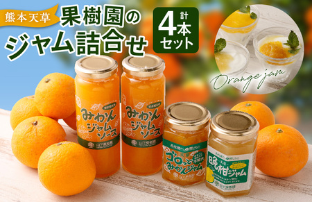 熊本 天草の果樹園 ジャム詰め合わせ みかんジャムソース×2本 不知火