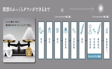 nishikawa / 西川 】 羽毛ふとん / ポーリッシュホワイトグースダウン