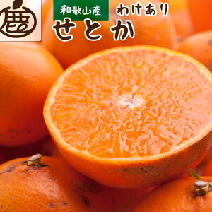 2月より発送＞家庭用 せとか2.5kg+250g（傷み補償分）【柑橘・春みかん