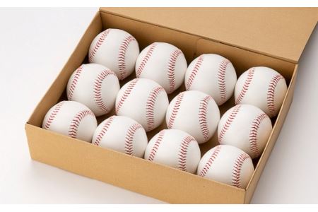 硬式野球ボール1ダースセット 山形県 新庄市 F3S-0594｜山形県新庄市