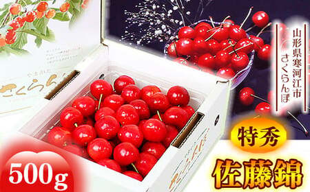 先行予約》 令和8年産 さくらんぼ 「 佐藤錦 」特秀品 500g Lサイズ