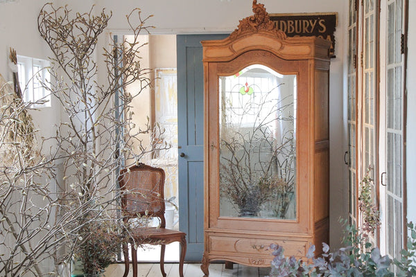 ff221086_1_grande.jpg?v=1677051575