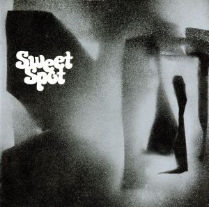 Sweet Spot 中古CD | ブックオフ公式オンラインストア