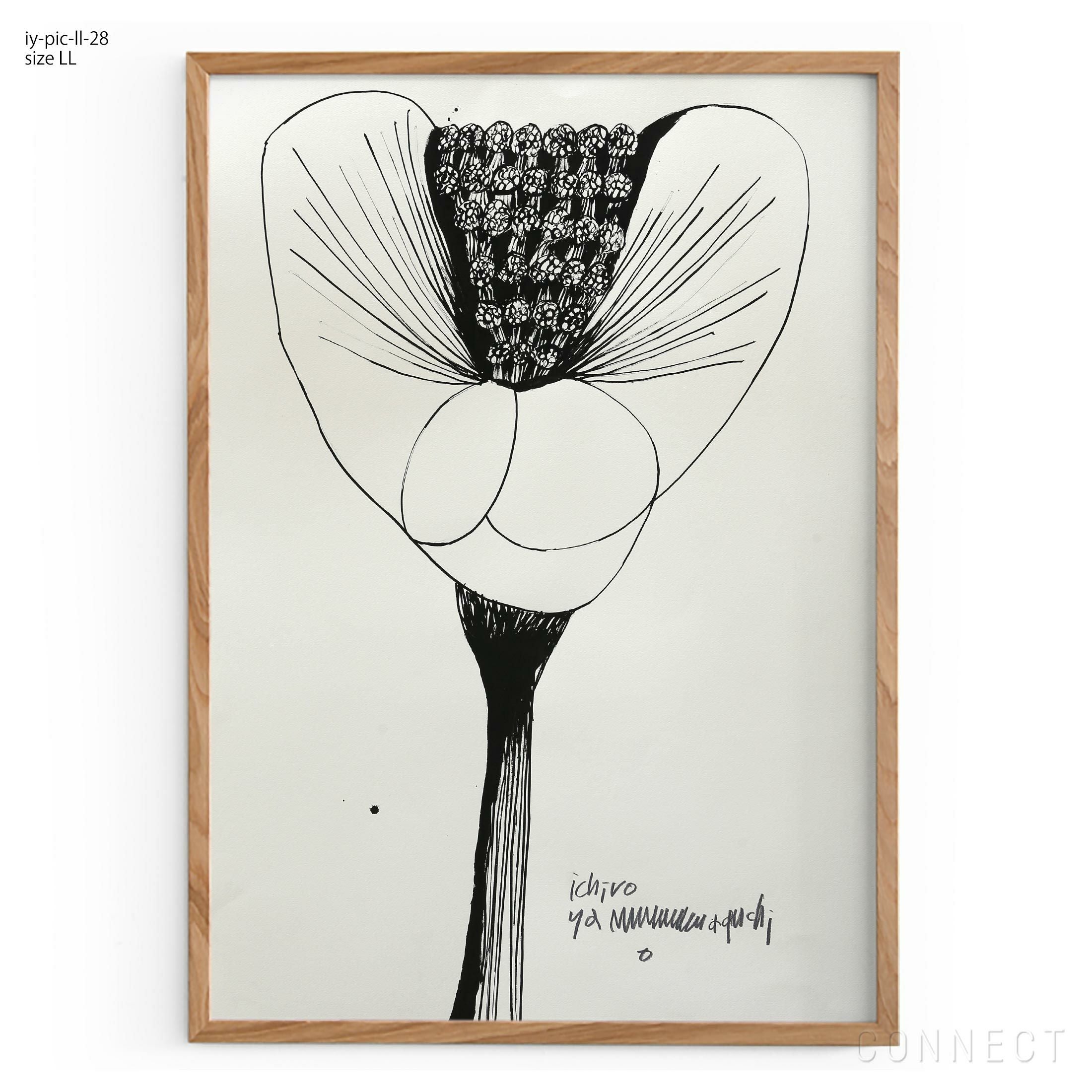 販売終了］山口一郎 / LLサイズ / 花 / iy-pic-ll-28 | CONNECT