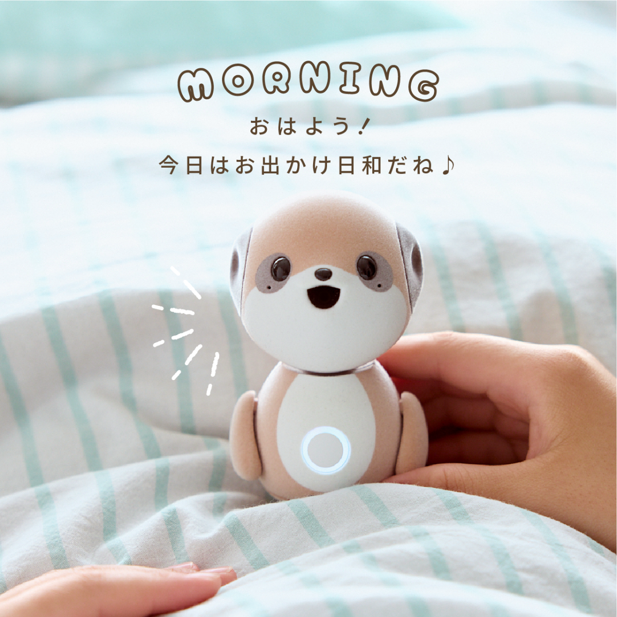 シャープ公式通販】 ポケとも本体|SR-C01M-W ｜COCORO STORE（ココロ