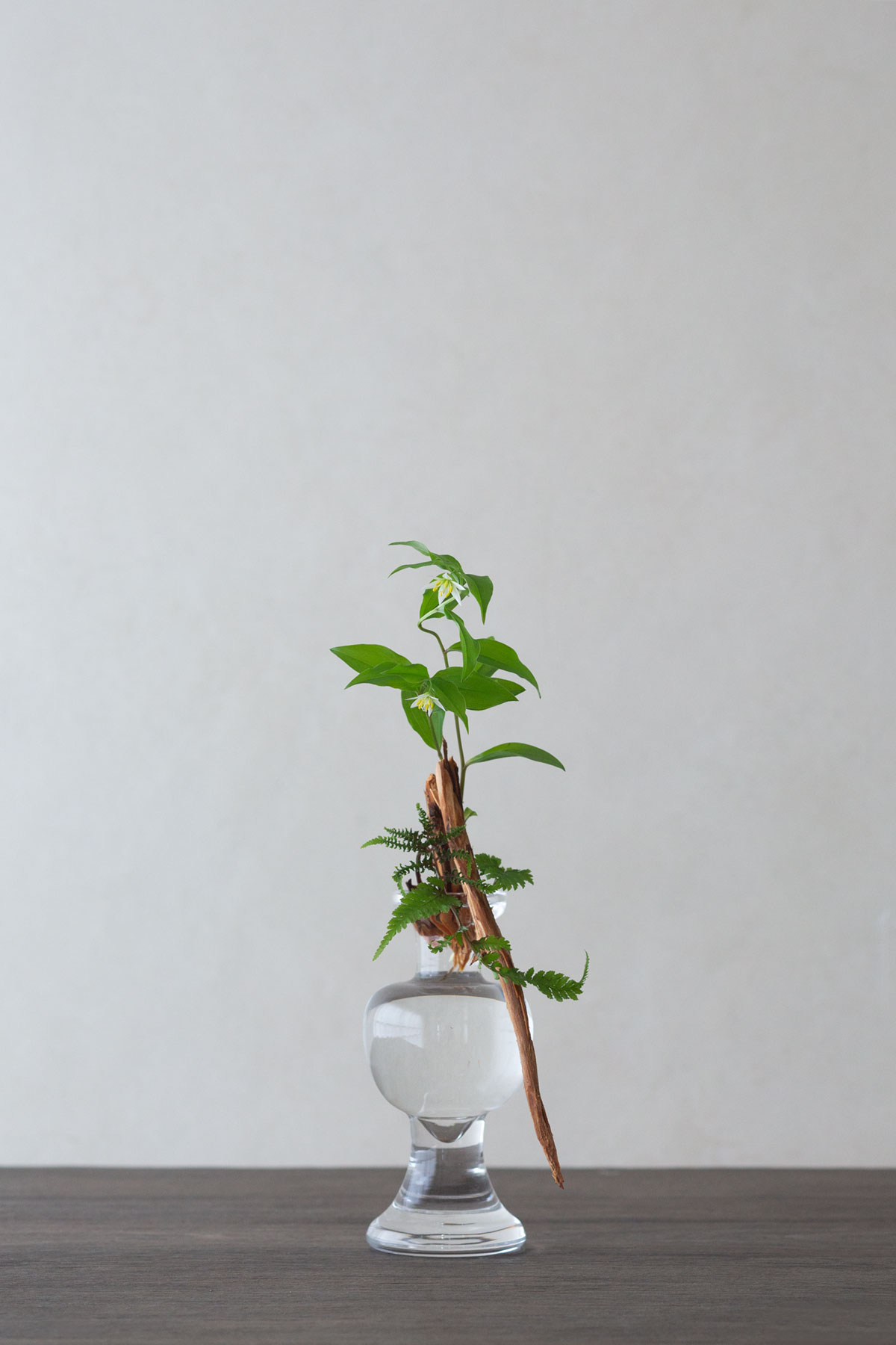 小灯の会 Vol.7 花師 齊藤謙大「初夏の野草 いけばなワークショップ