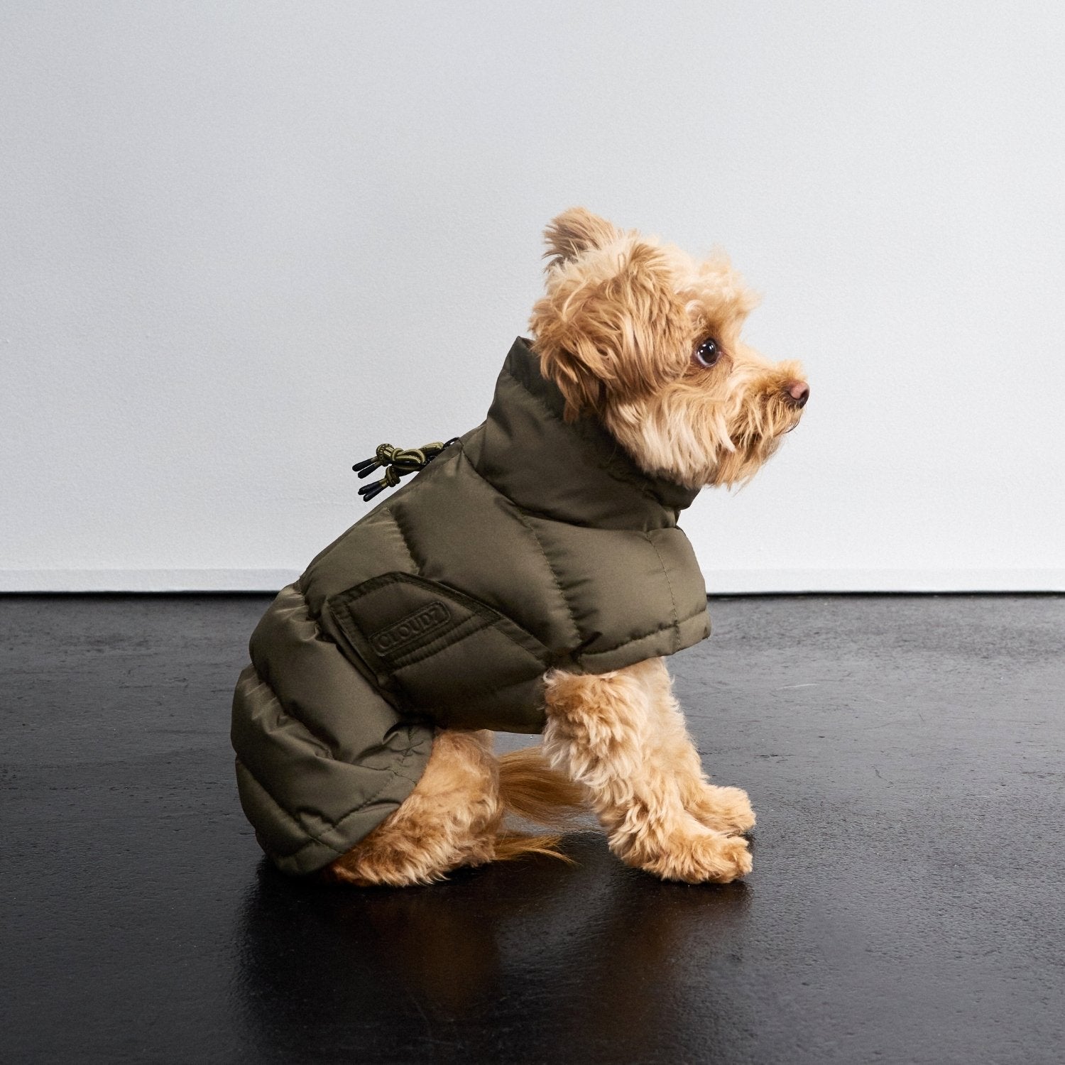 Dog Coat Everest Light Olive | CLOUD7