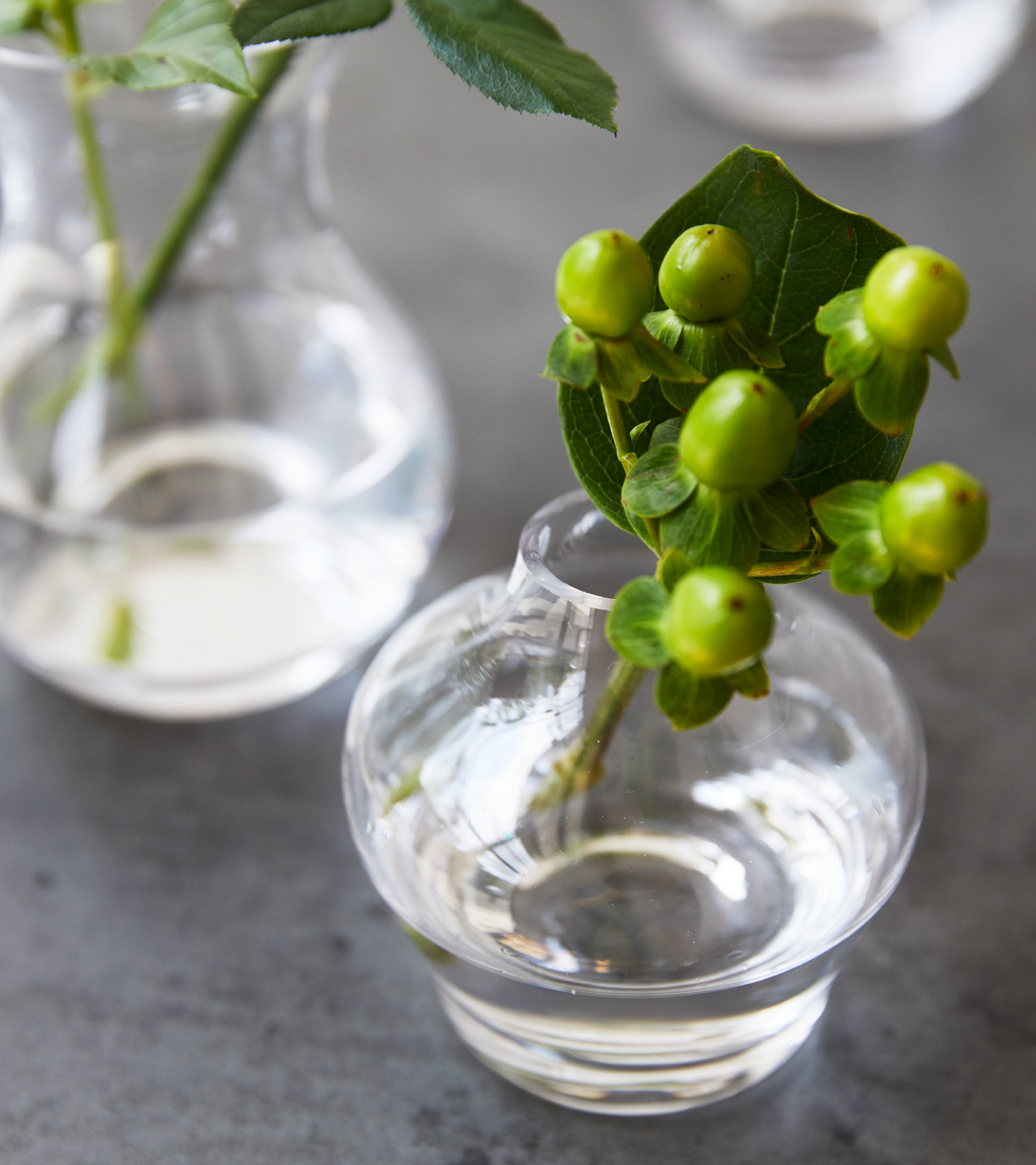 courbe｜CLAY - 花と人をツナグ