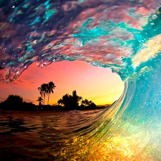 Browse Prints by Category - Clark Little Photography