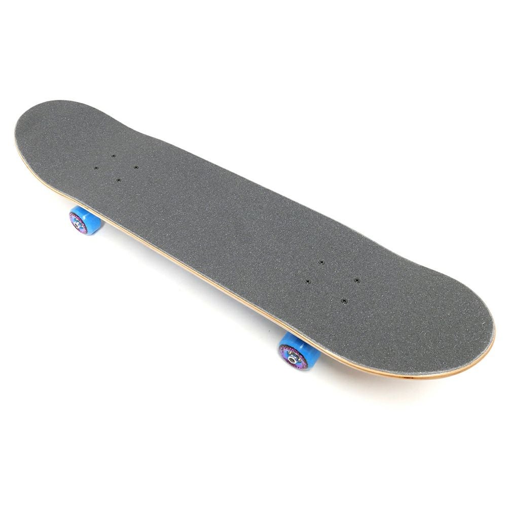 防水ケース付き SANTA CRUZ サンタクルーズ コンプリートセット